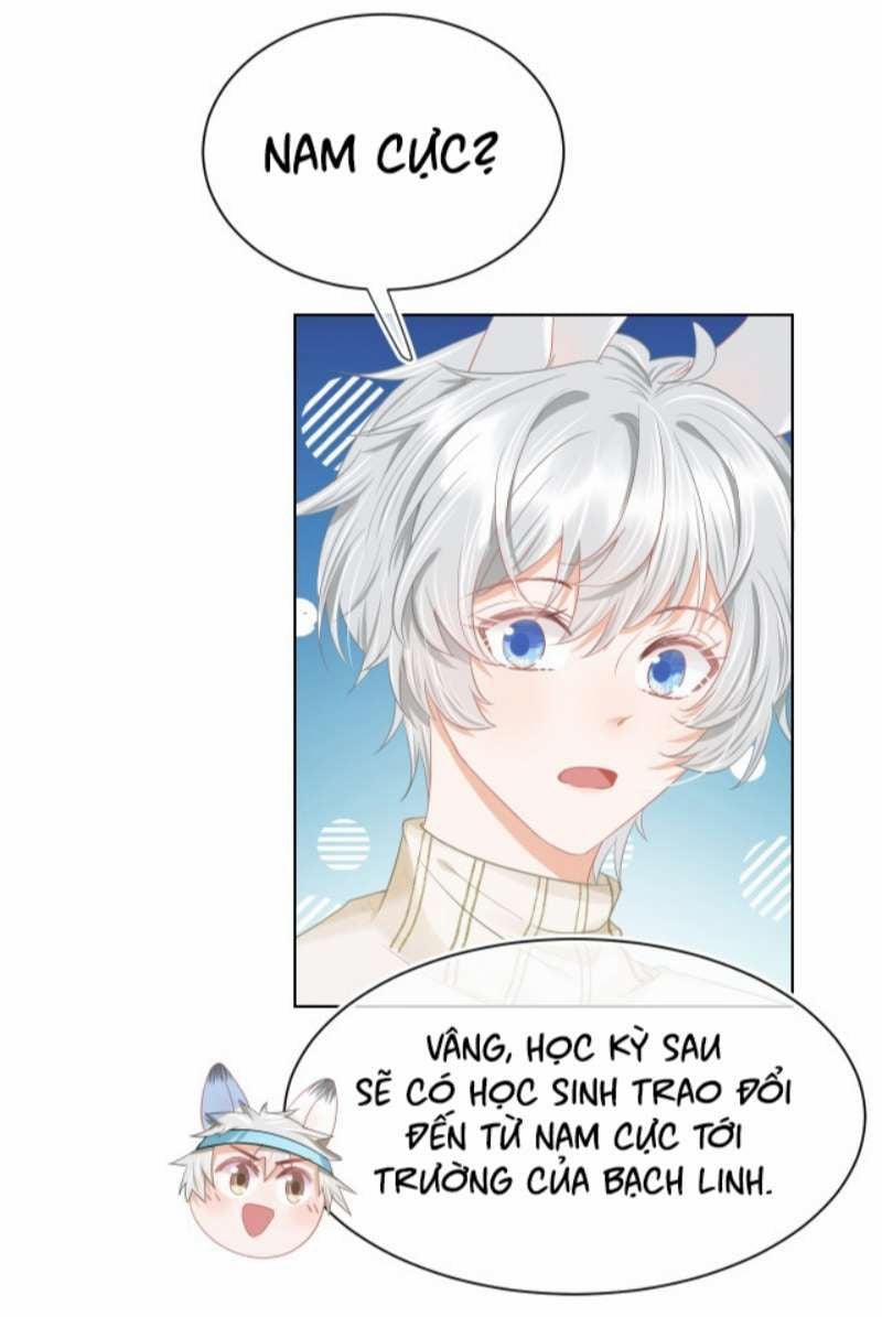 Một Ngụm Nuốt Trọn Thỏ Con 91 trang 42