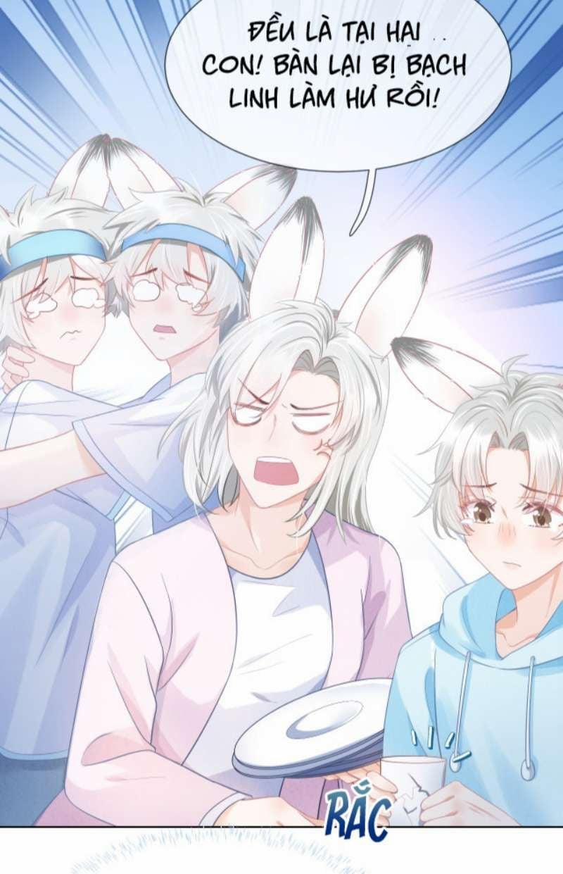 Một Ngụm Nuốt Trọn Thỏ Con 91 trang 53