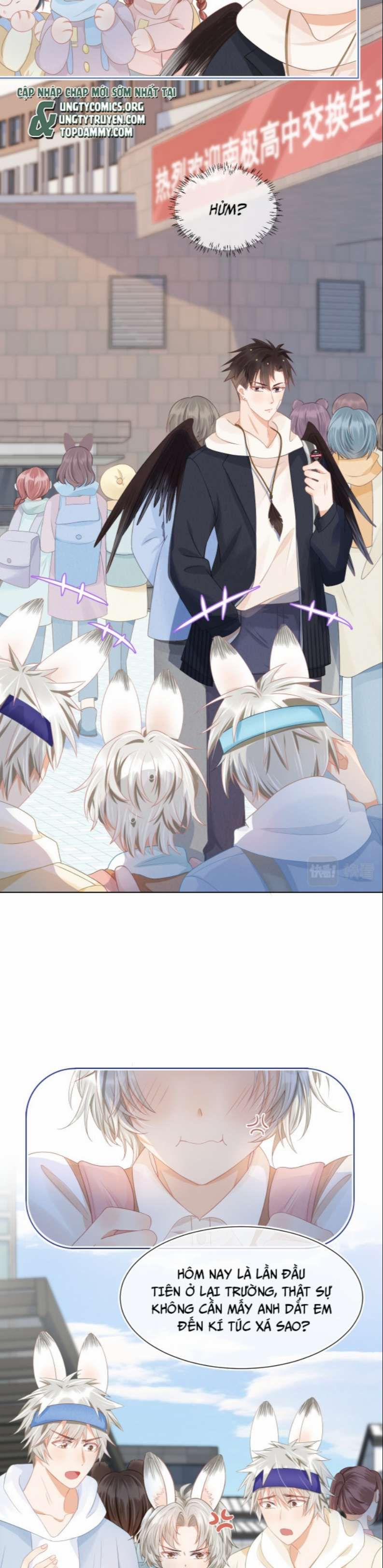 Một Ngụm Nuốt Trọn Thỏ Con 92 trang 11