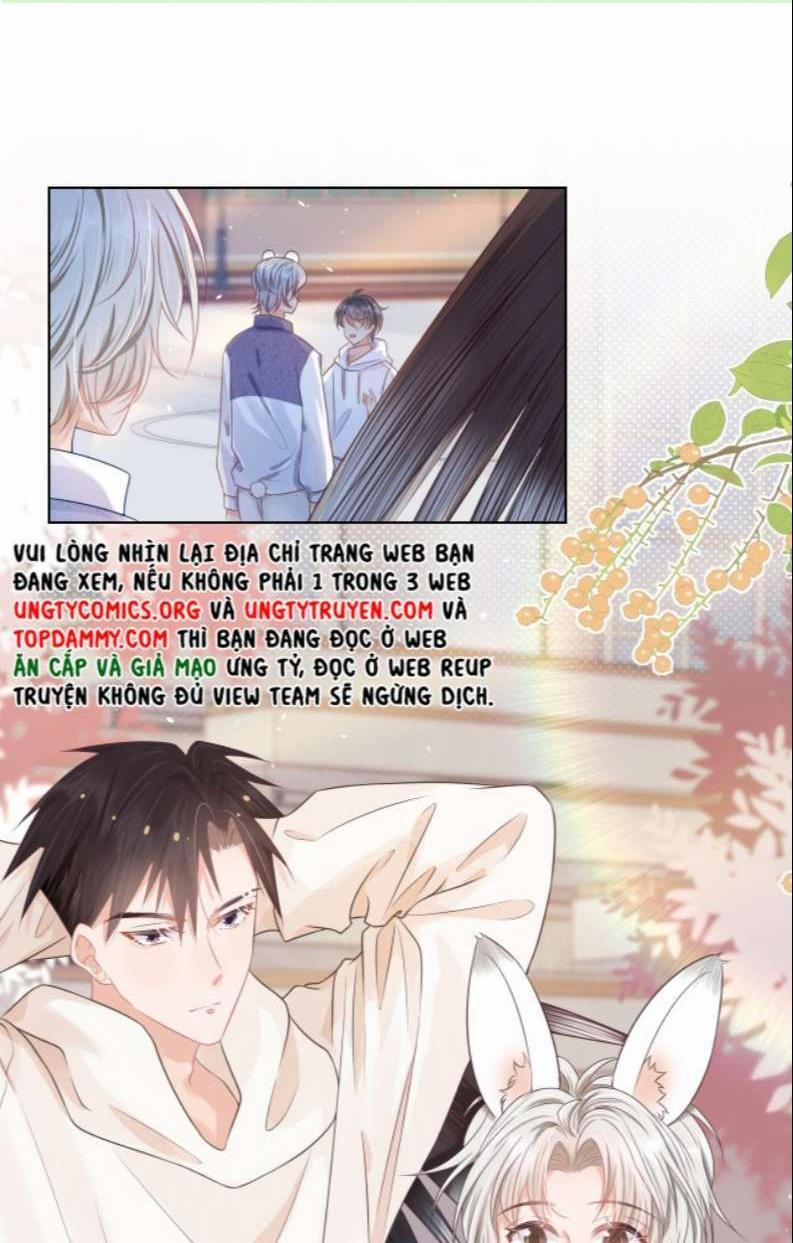 Một Ngụm Nuốt Trọn Thỏ Con 95 trang 0