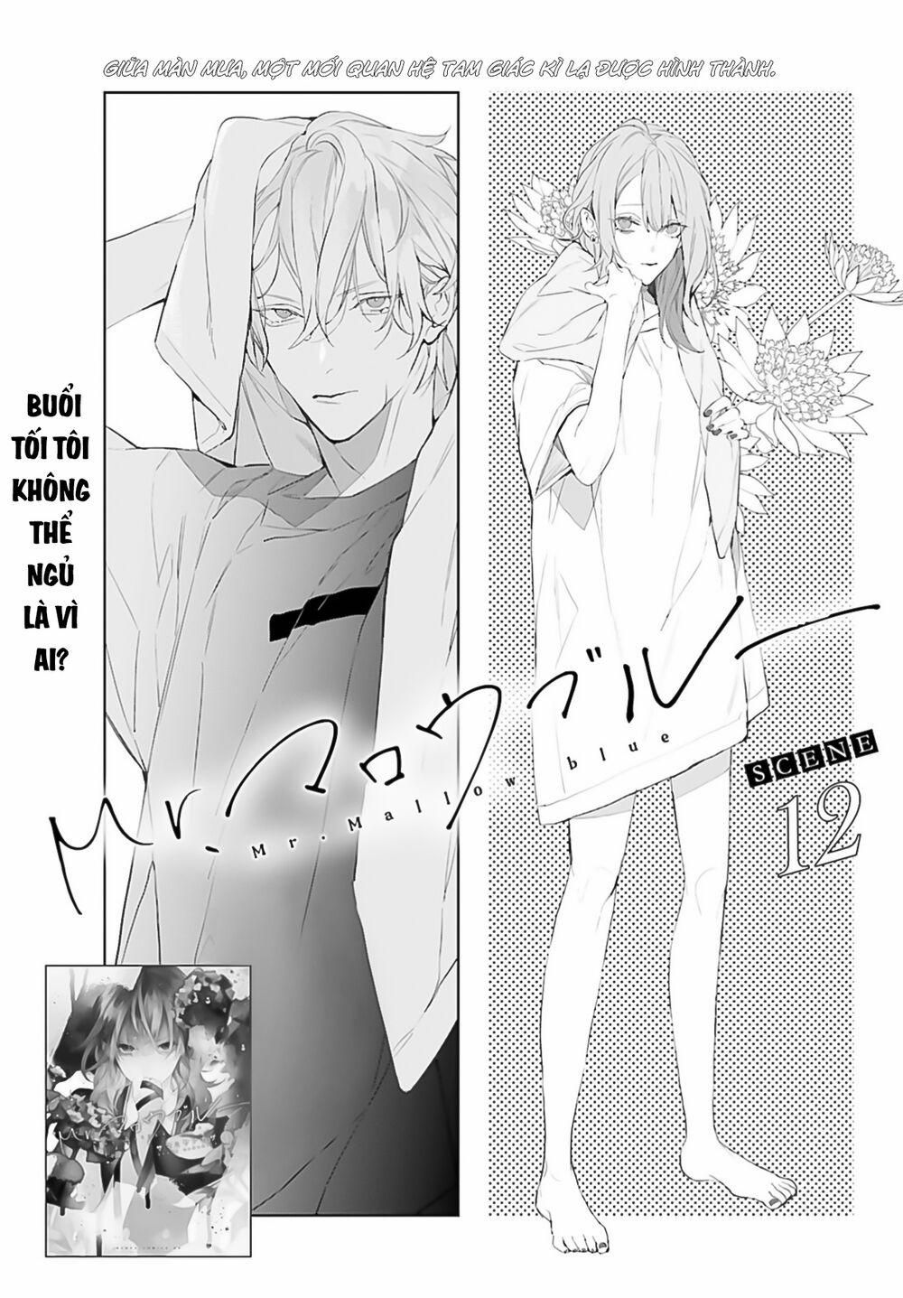 Mr. Blue 12 trang 1