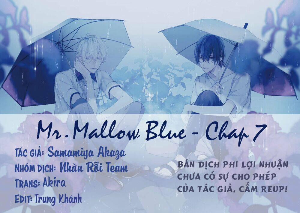 Mr. Blue 7 trang 0