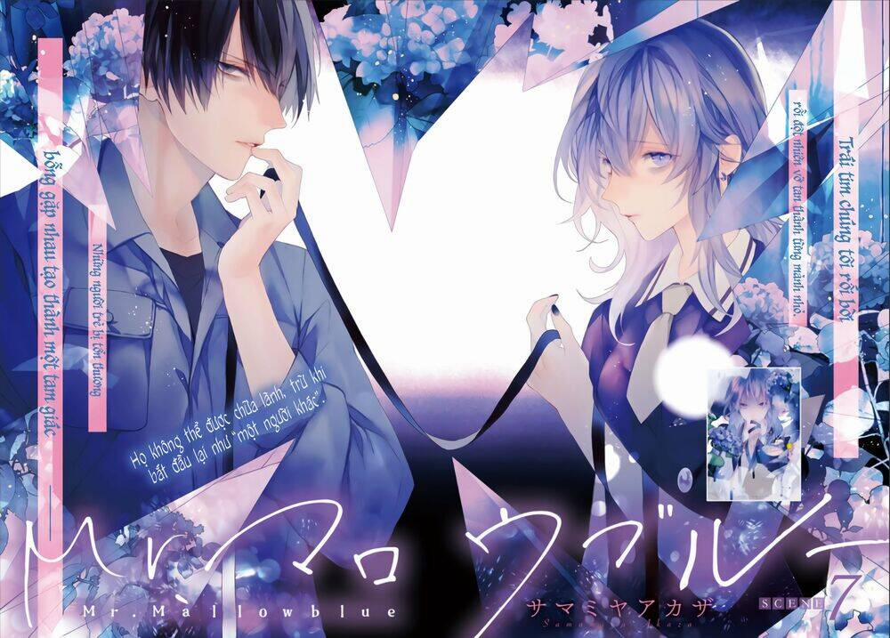 Mr. Blue 7 trang 1