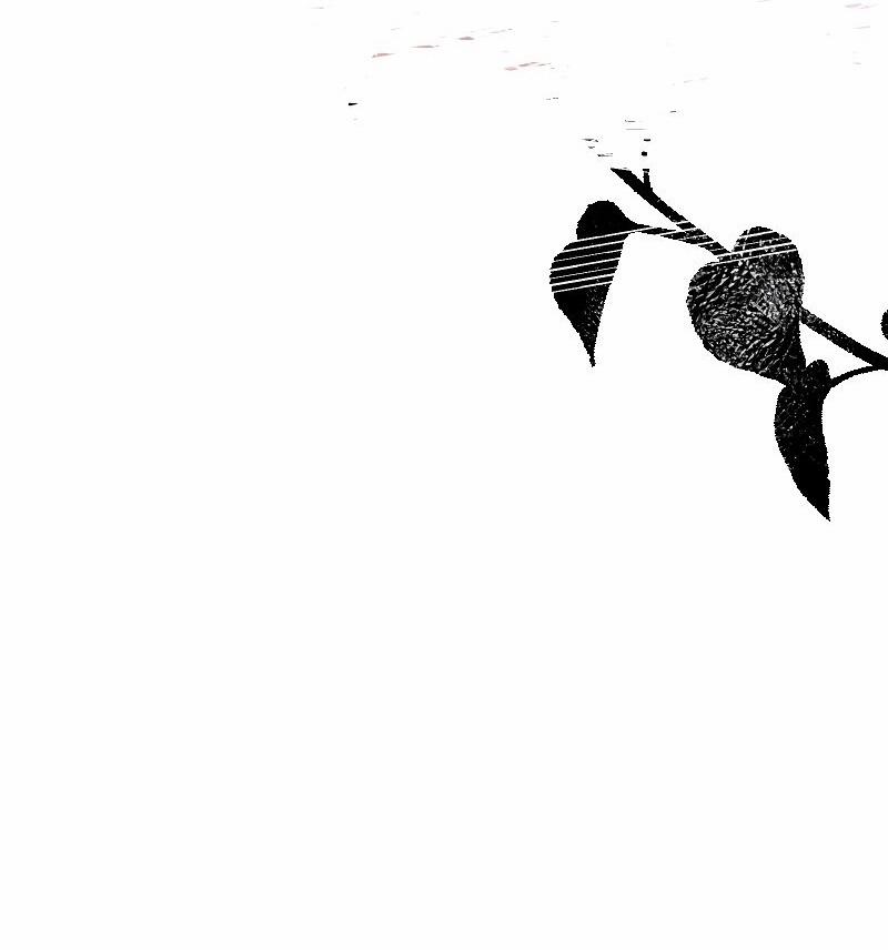 Mù Quáng Vì Yêu Anh 12 trang 28