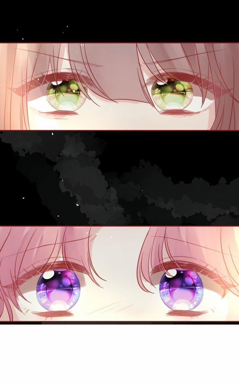 Mù Quáng Vì Yêu Anh 5 trang 2