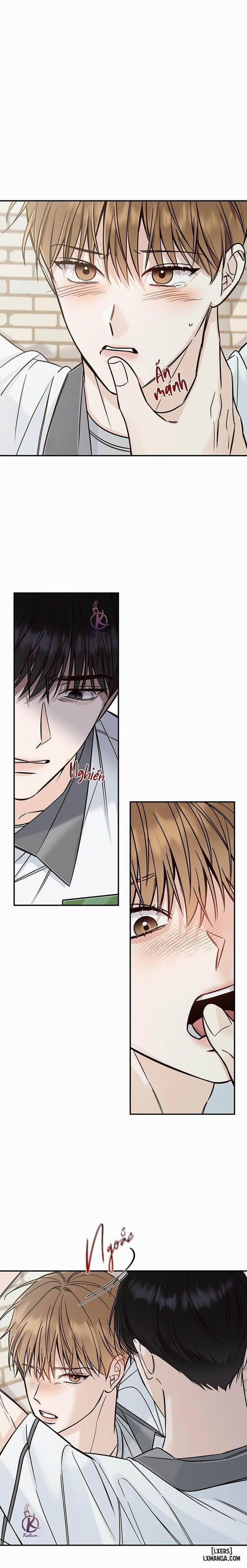 Mùa Hạ 11 trang 14