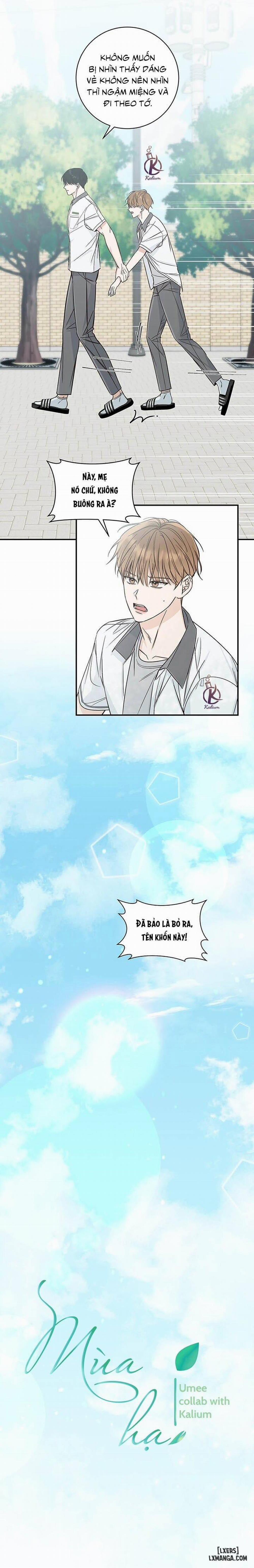 Mùa Hạ 11 trang 8