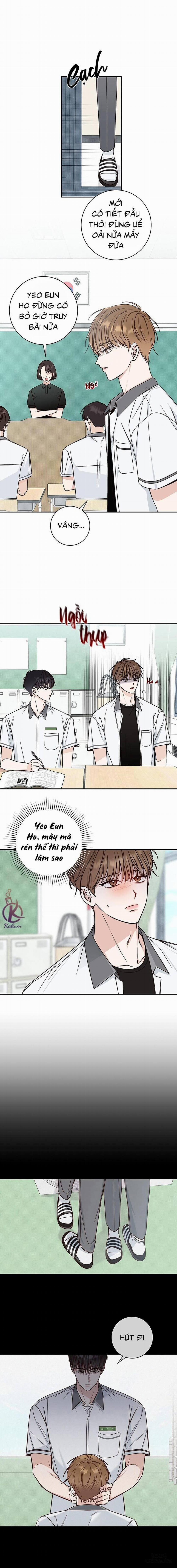 Mùa Hạ 14 trang 1