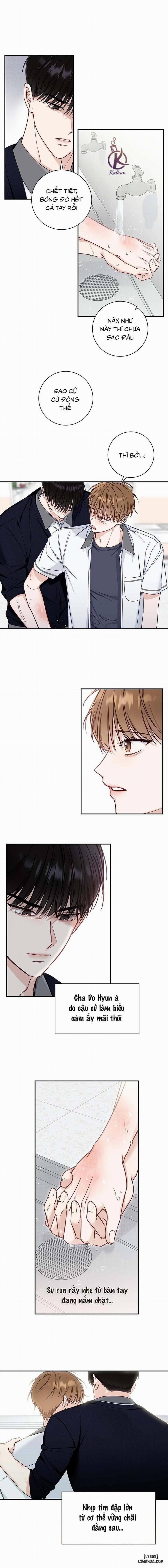 Mùa Hạ 16 trang 0