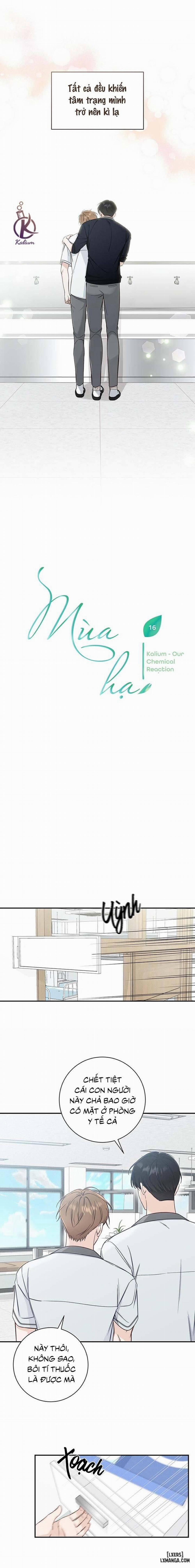 Mùa Hạ 16 trang 1