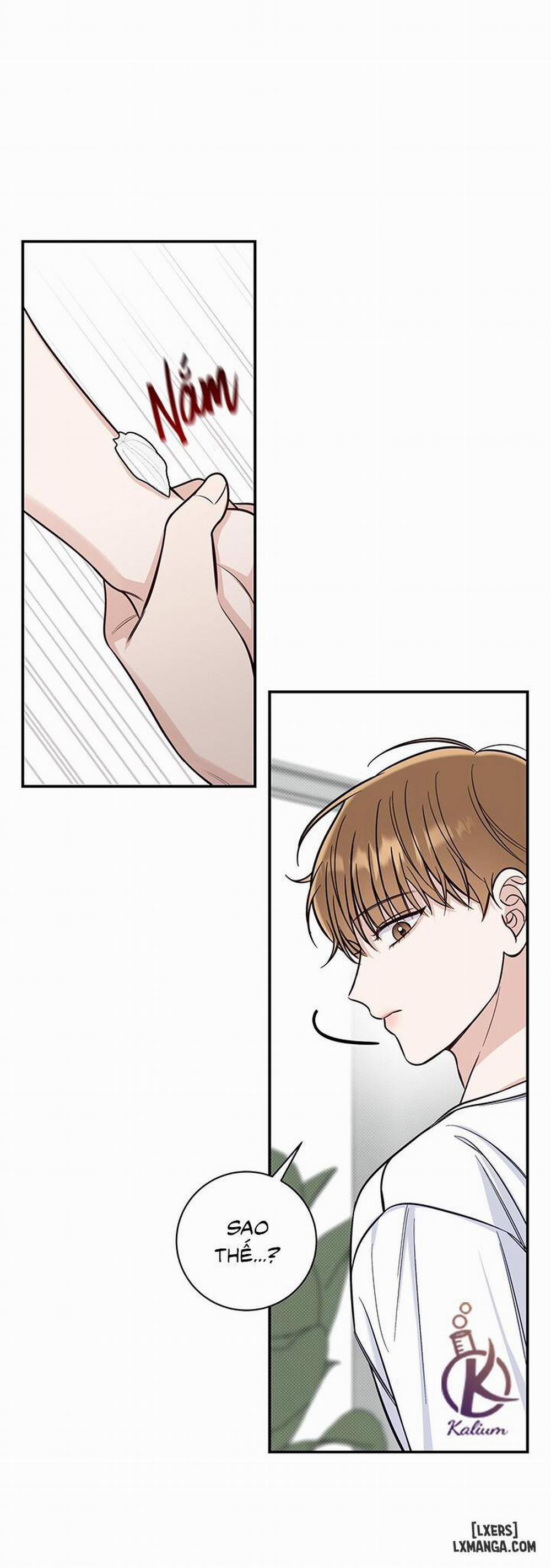 Mùa Hạ 25 trang 11