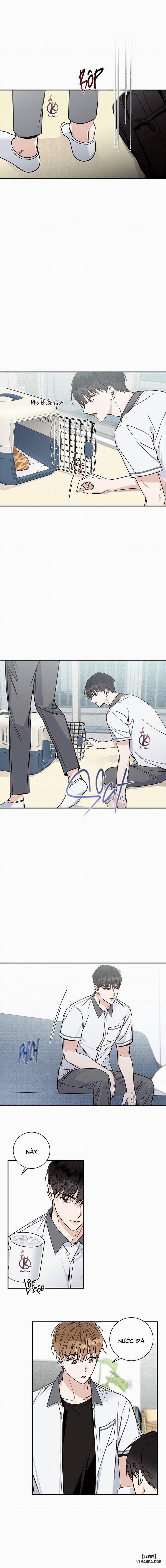Mùa Hạ 7 trang 4