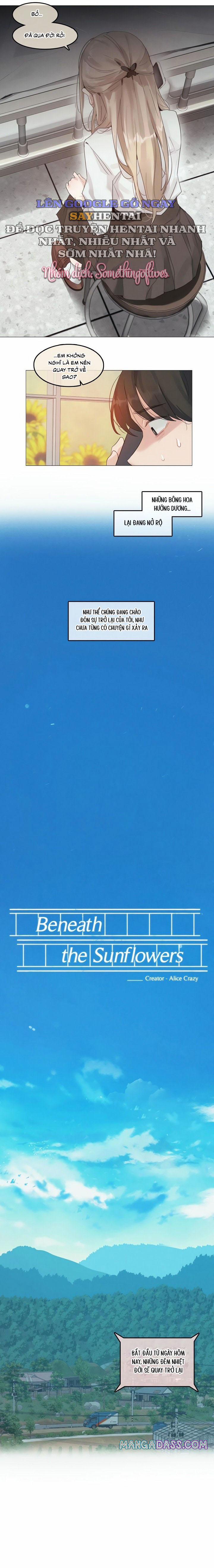 Mùa Hướng Dương Thầm Thì 1 trang 3