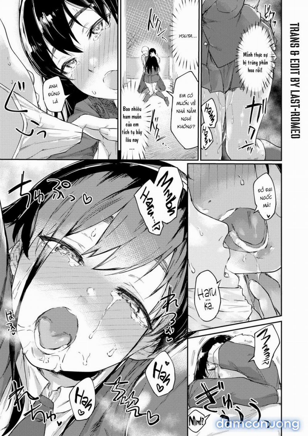 Mùa Phấn Hoa Động Dục 1 trang 6