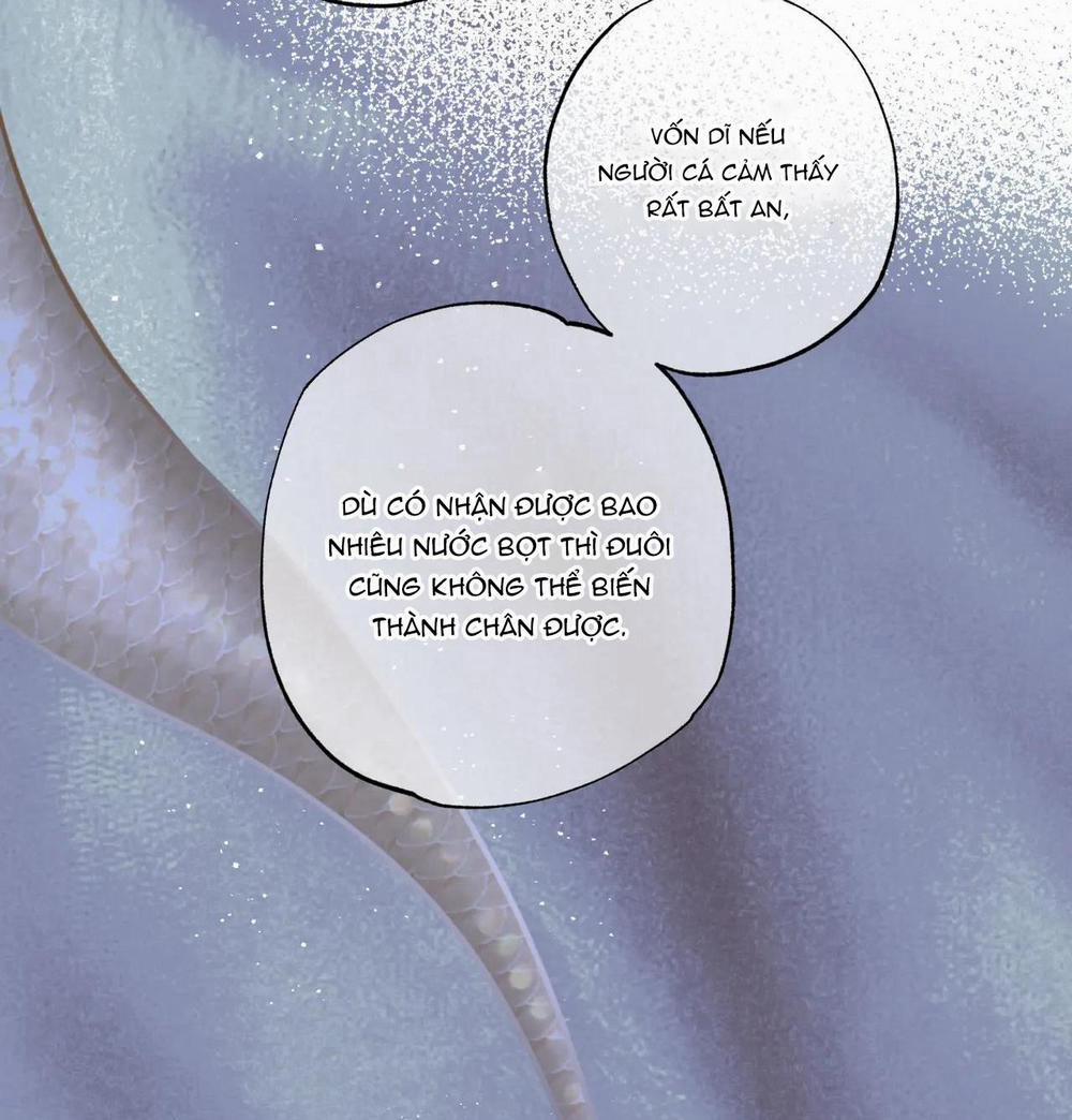 MỸ NHÂN NGƯ 10 trang 11