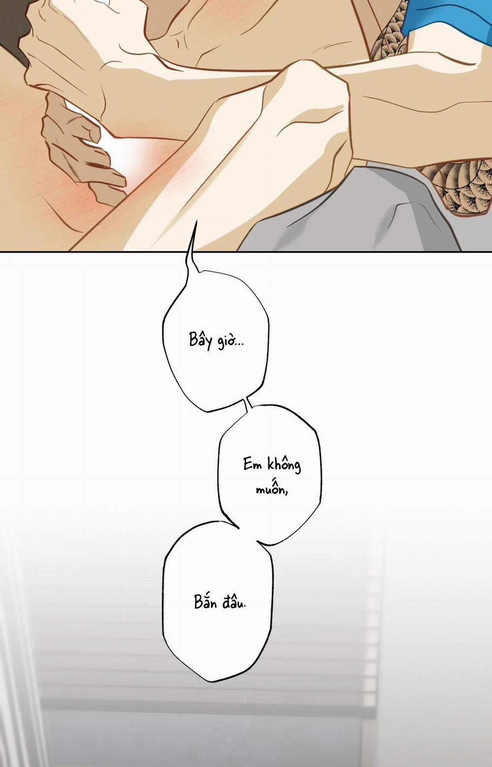 MỸ NHÂN NGƯ 12 trang 71