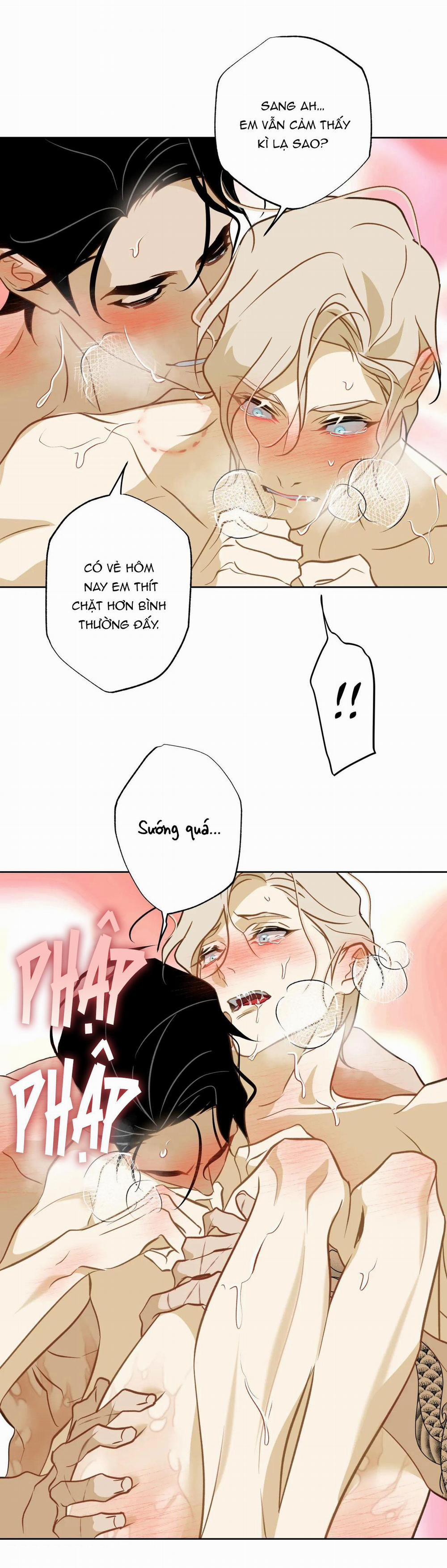 MỸ NHÂN NGƯ 13 trang 27