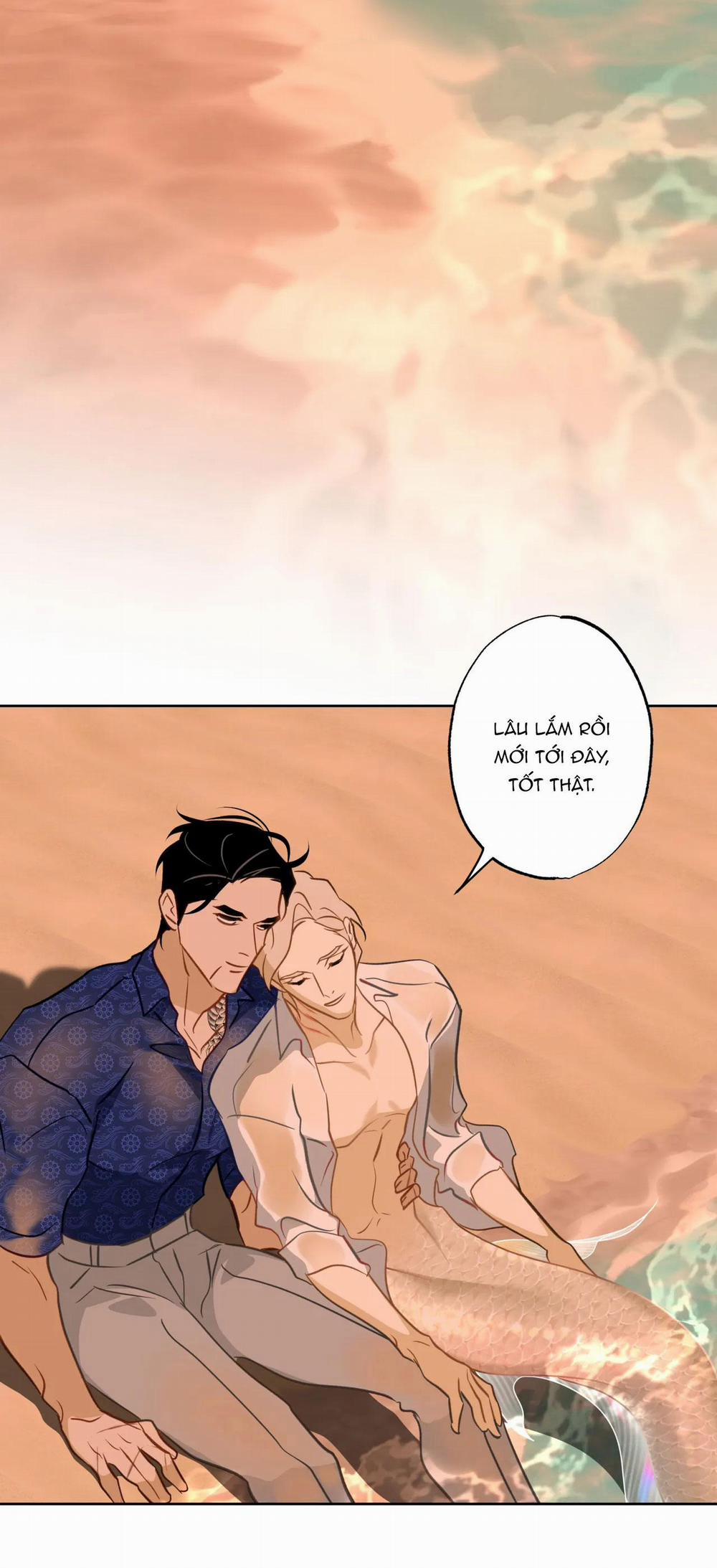 MỸ NHÂN NGƯ 14 NT3 trang 21