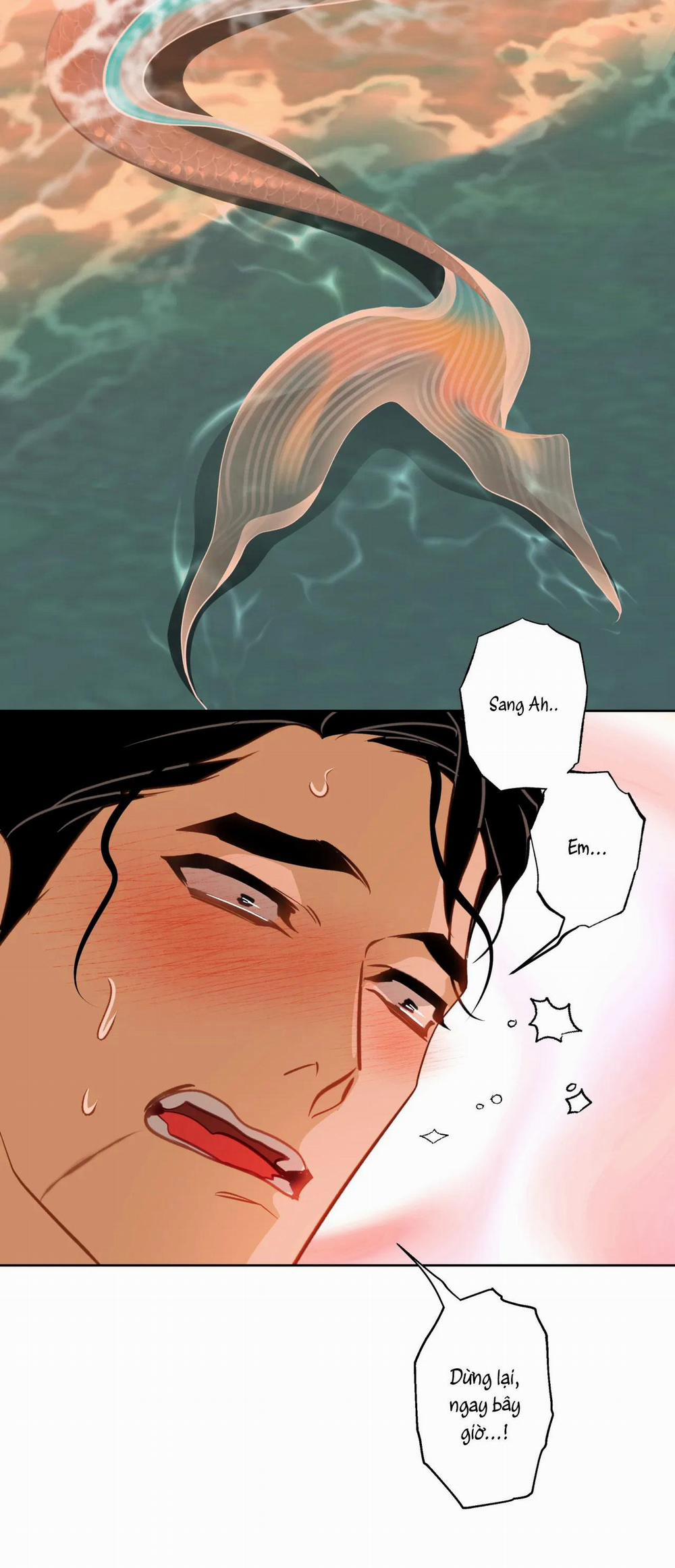 MỸ NHÂN NGƯ 14 NT3 trang 49