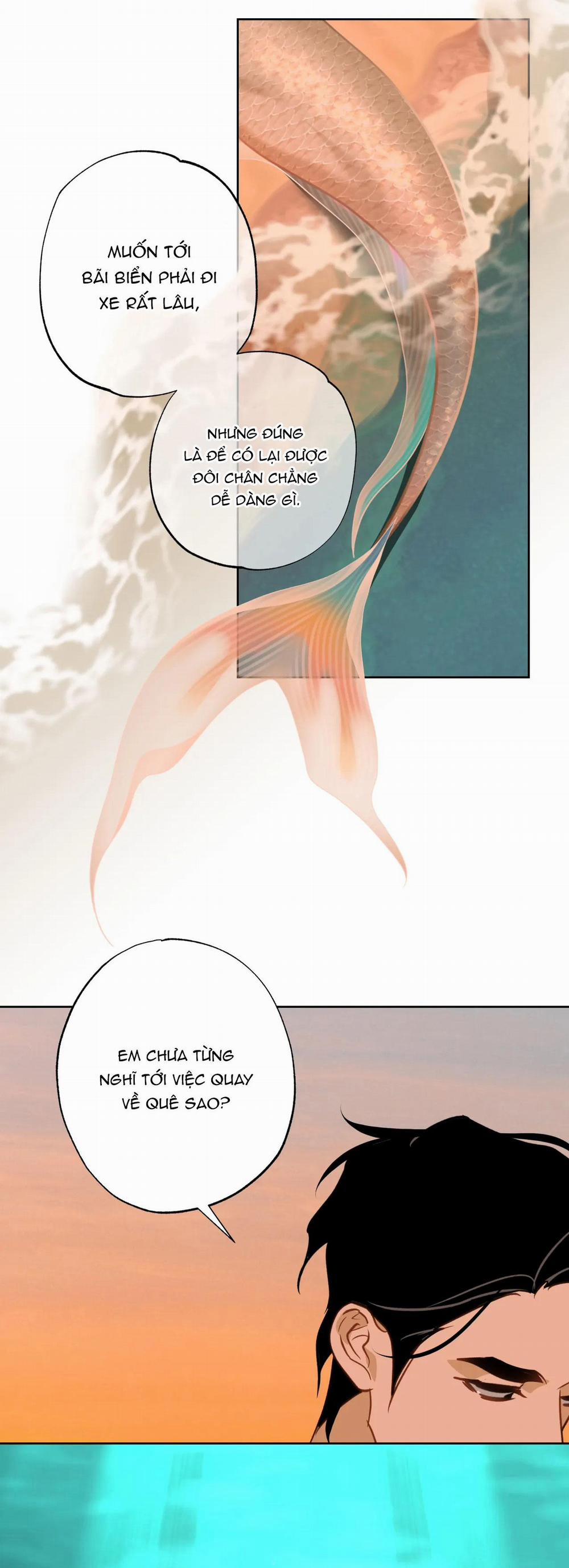 MỸ NHÂN NGƯ 14 trang 24