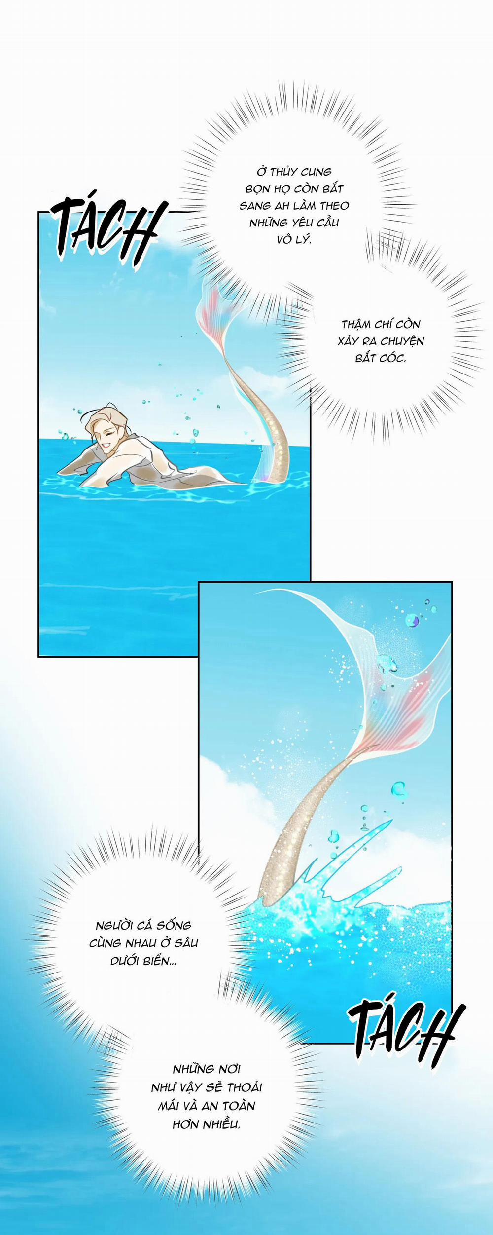 MỸ NHÂN NGƯ 14 trang 5