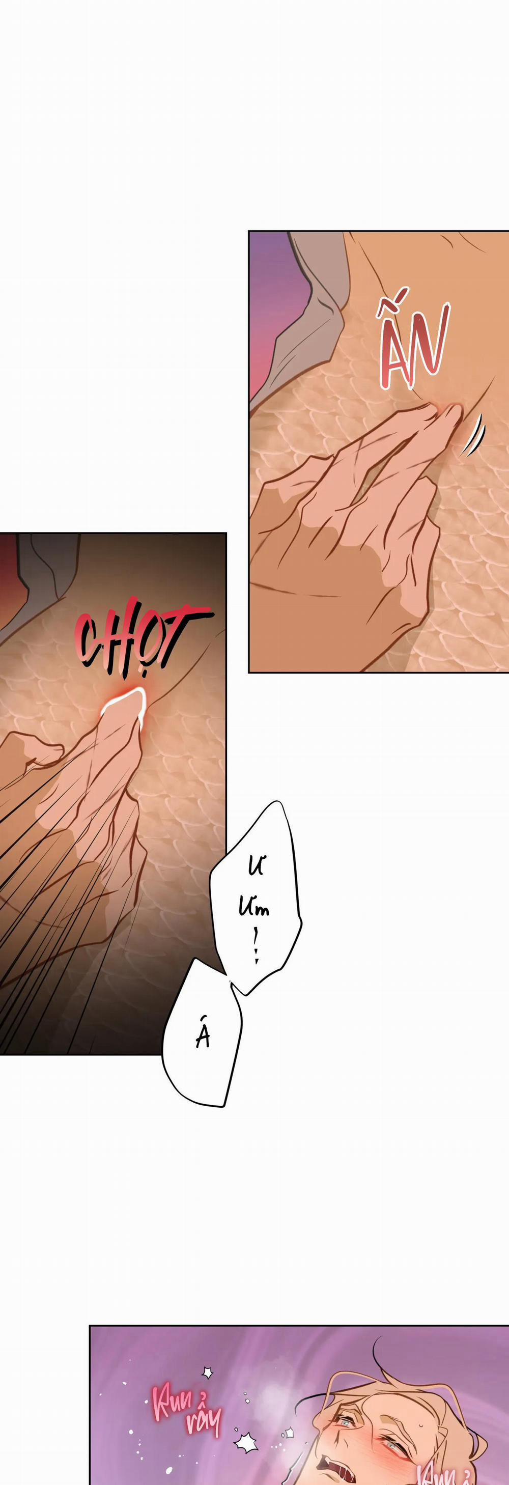 MỸ NHÂN NGƯ 15 NT5 trang 8