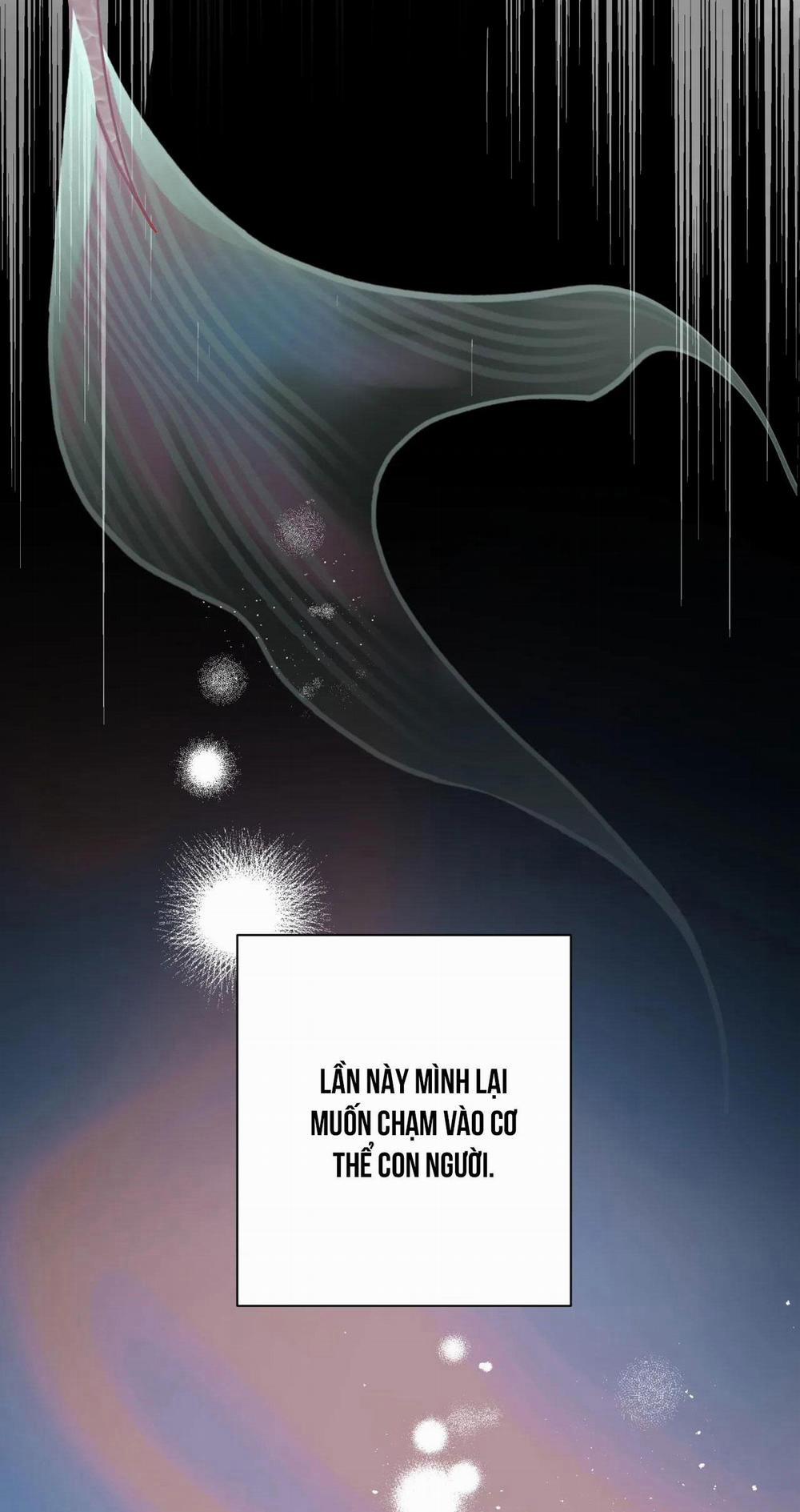 MỸ NHÂN NGƯ 3 trang 53