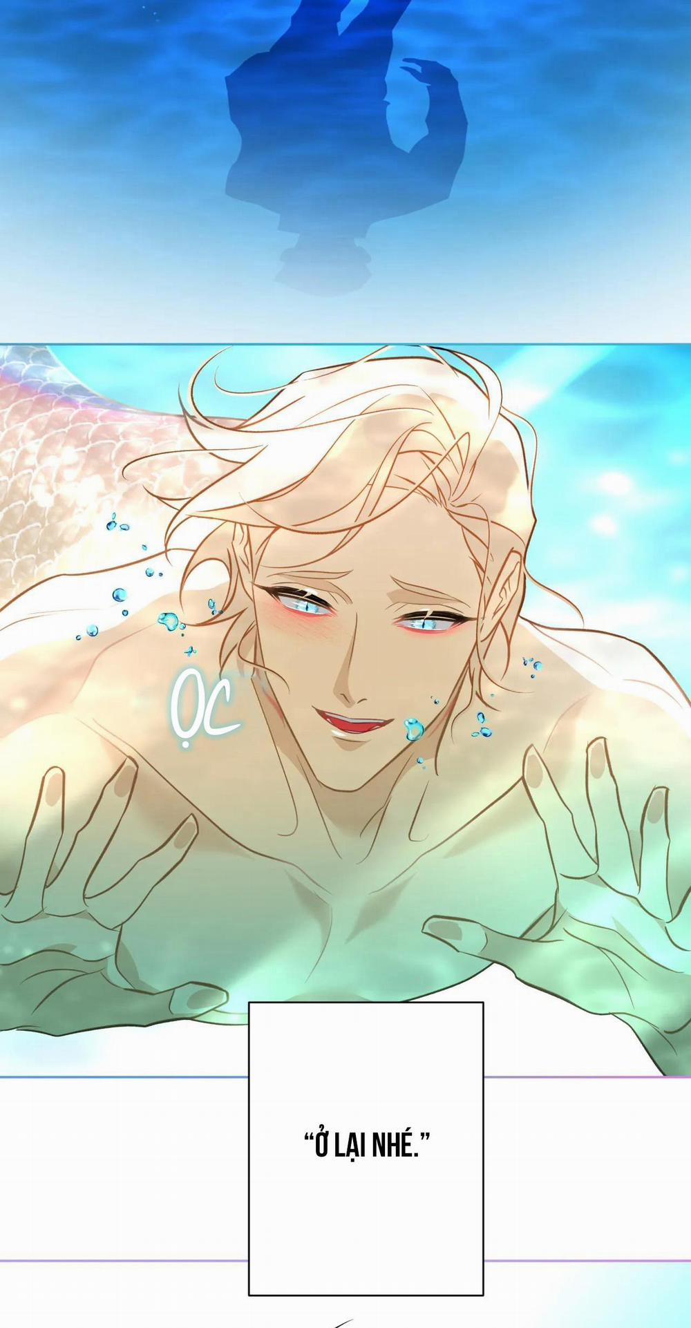 MỸ NHÂN NGƯ 5 trang 30