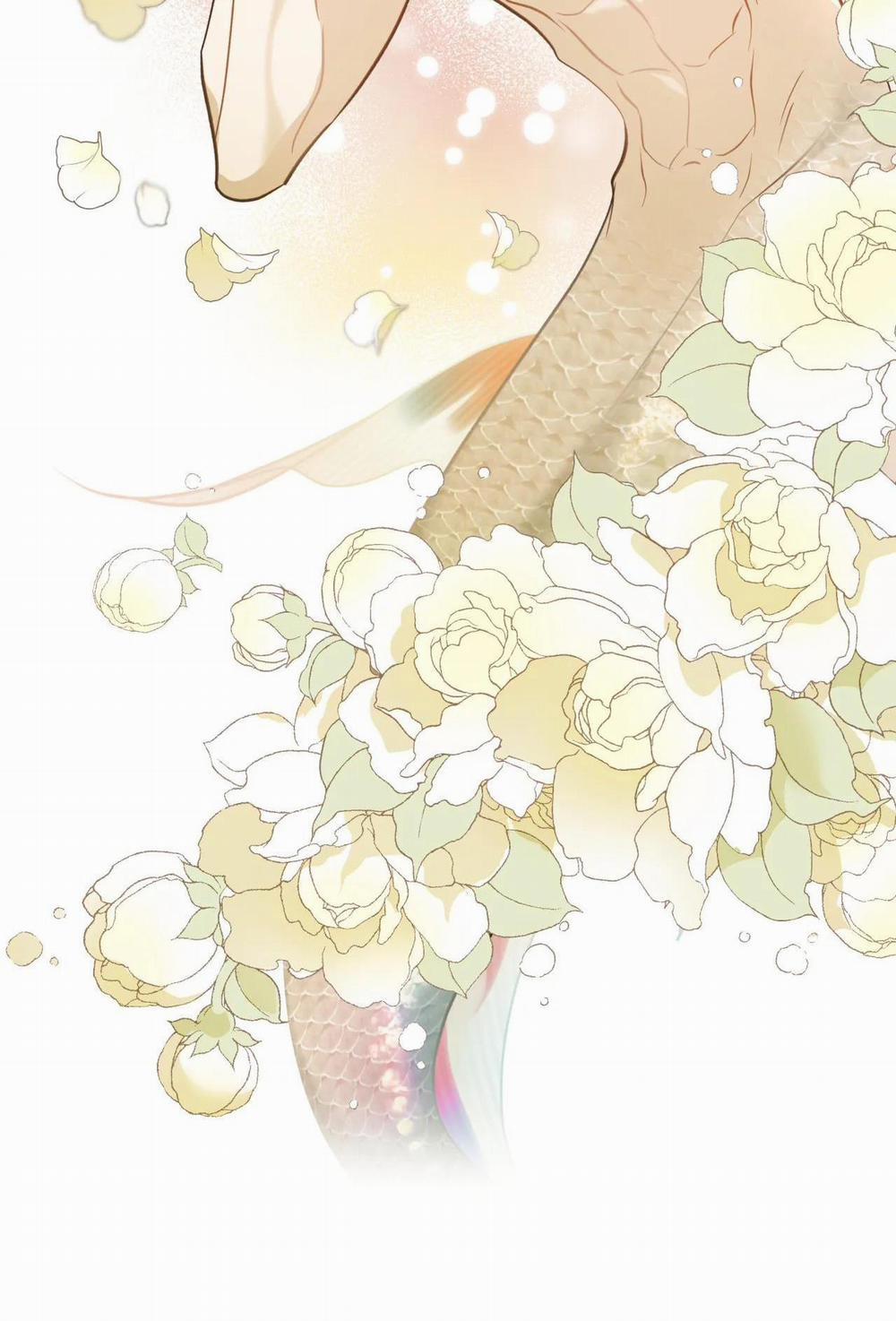 MỸ NHÂN NGƯ 5 trang 4