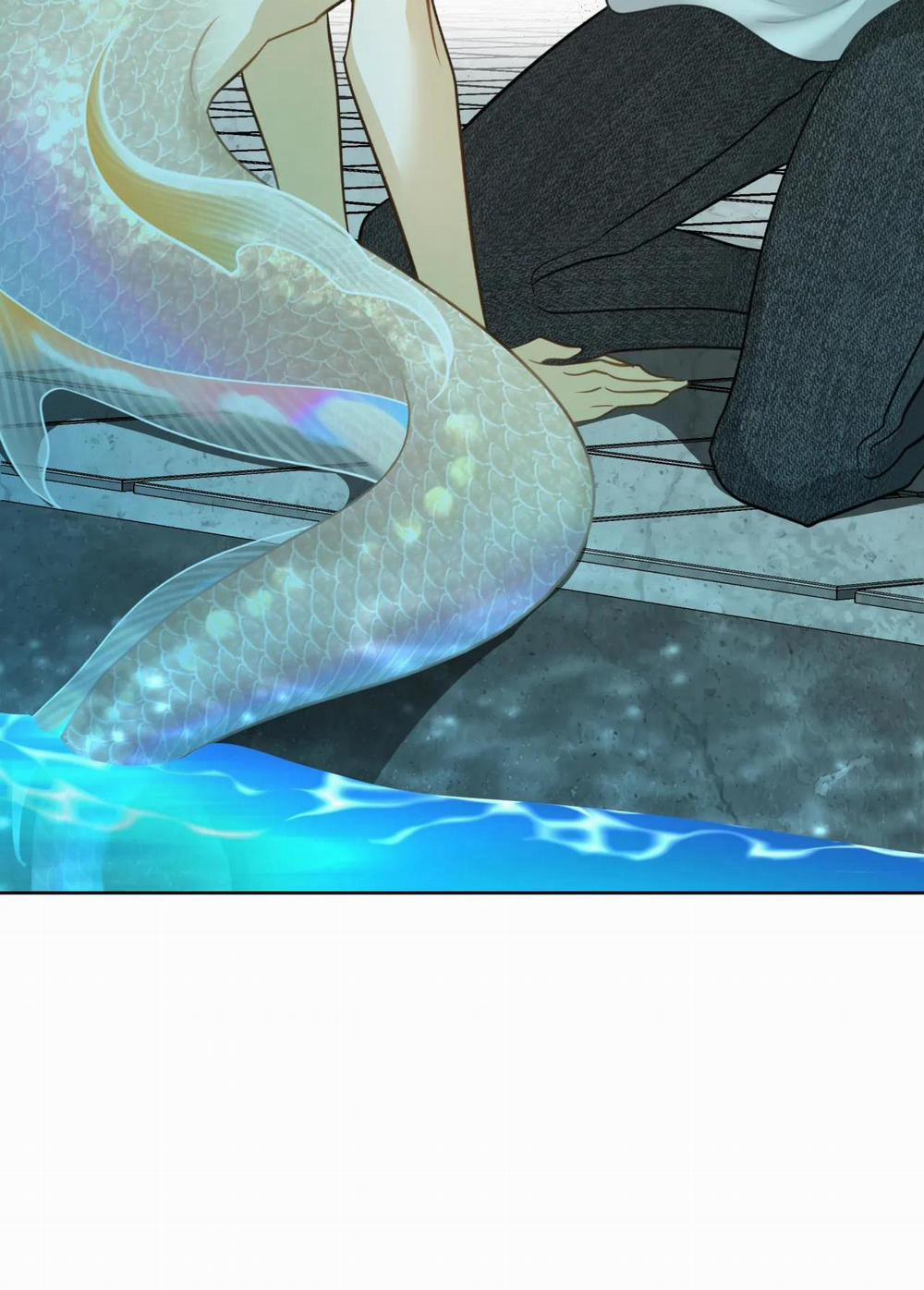 MỸ NHÂN NGƯ 5 trang 45