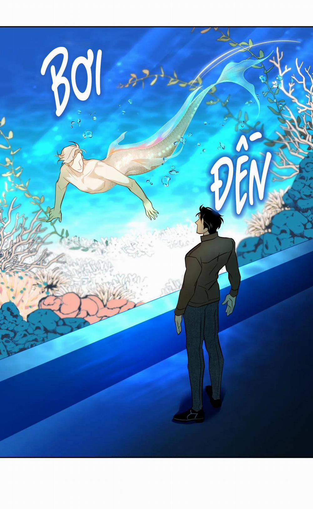 MỸ NHÂN NGƯ 5 trang 5