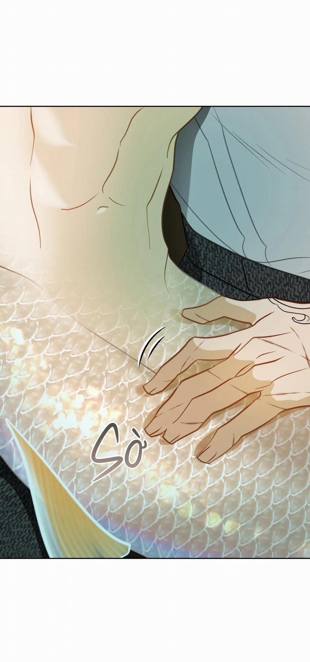 MỸ NHÂN NGƯ 5 trang 57