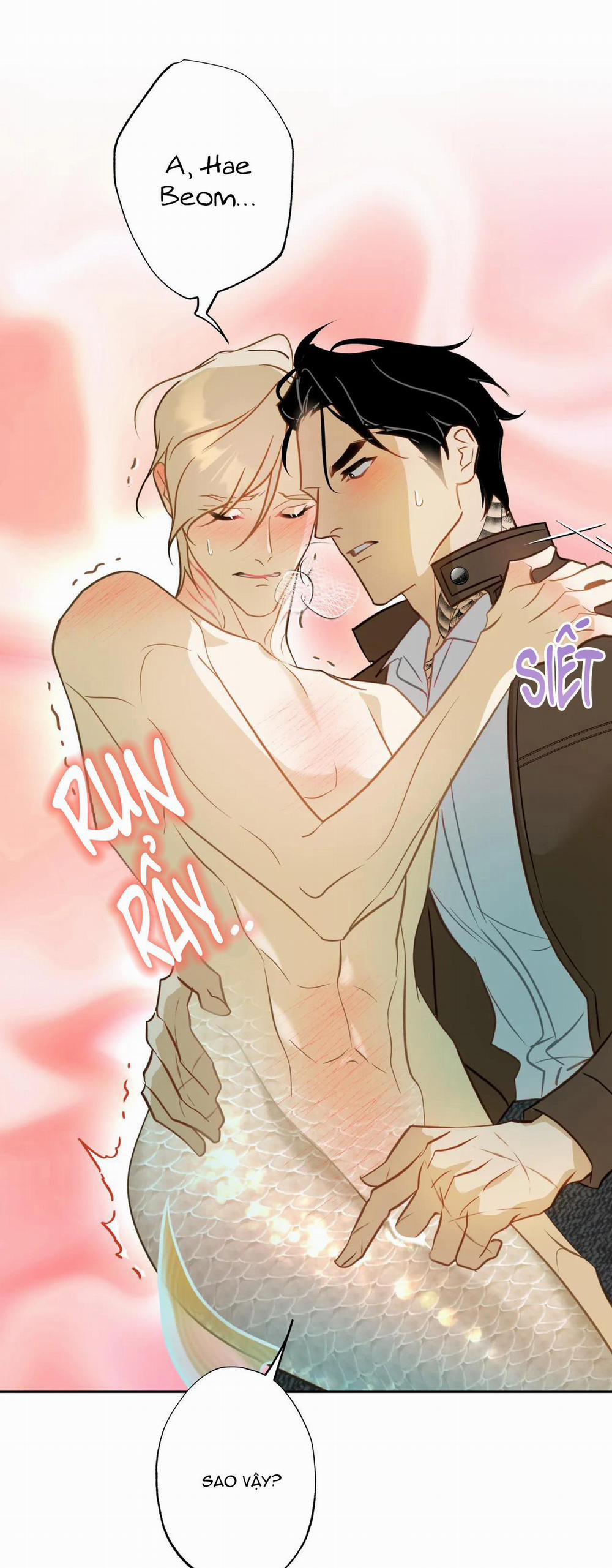 MỸ NHÂN NGƯ 5 trang 62