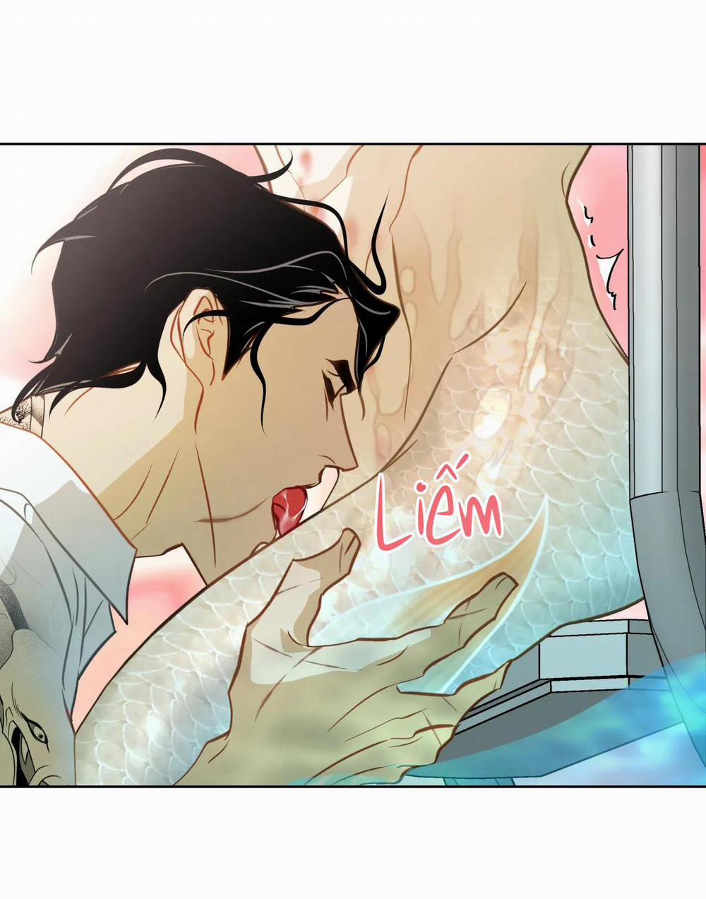 MỸ NHÂN NGƯ 6 trang 3