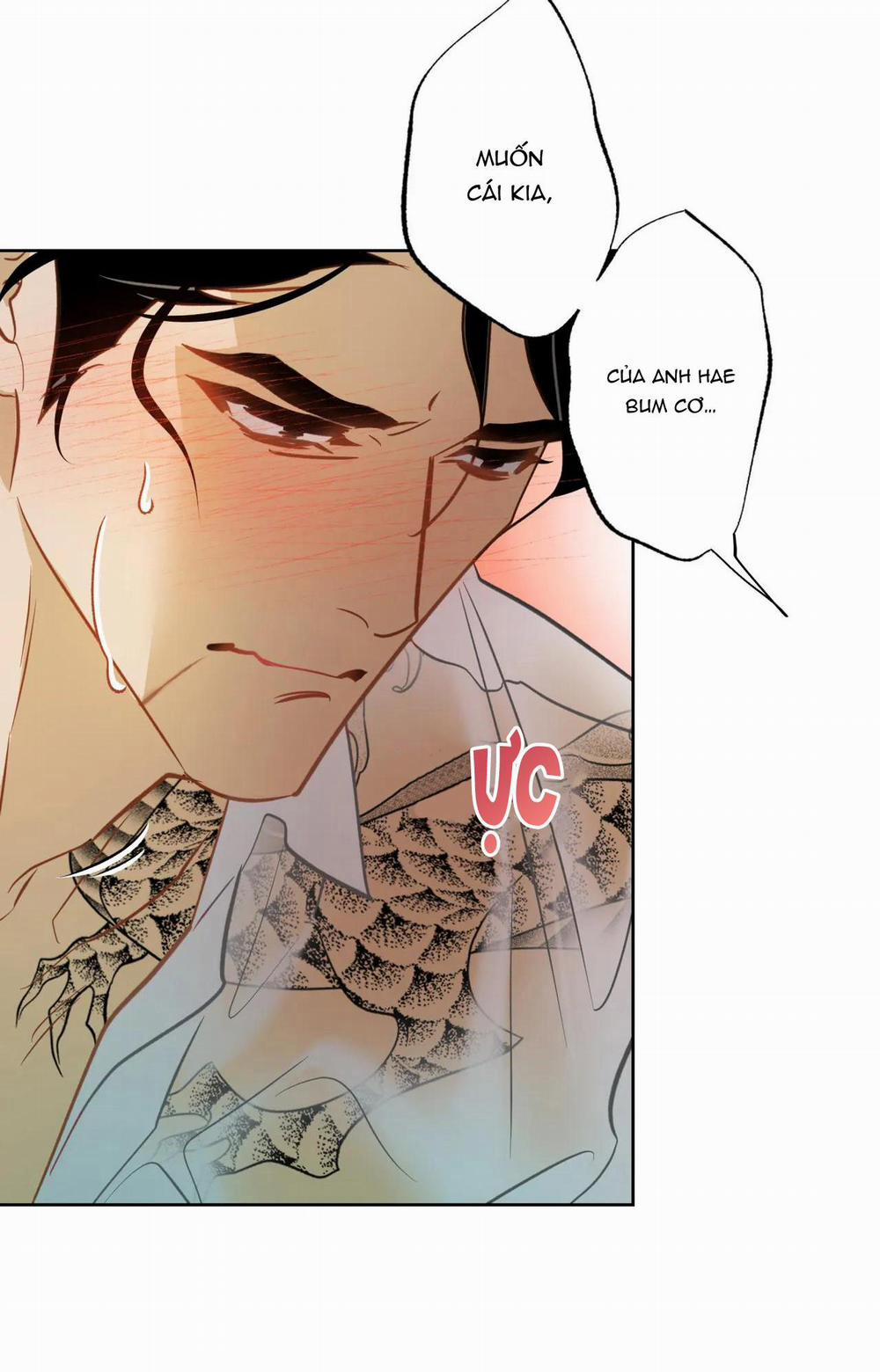 MỸ NHÂN NGƯ 6 trang 48