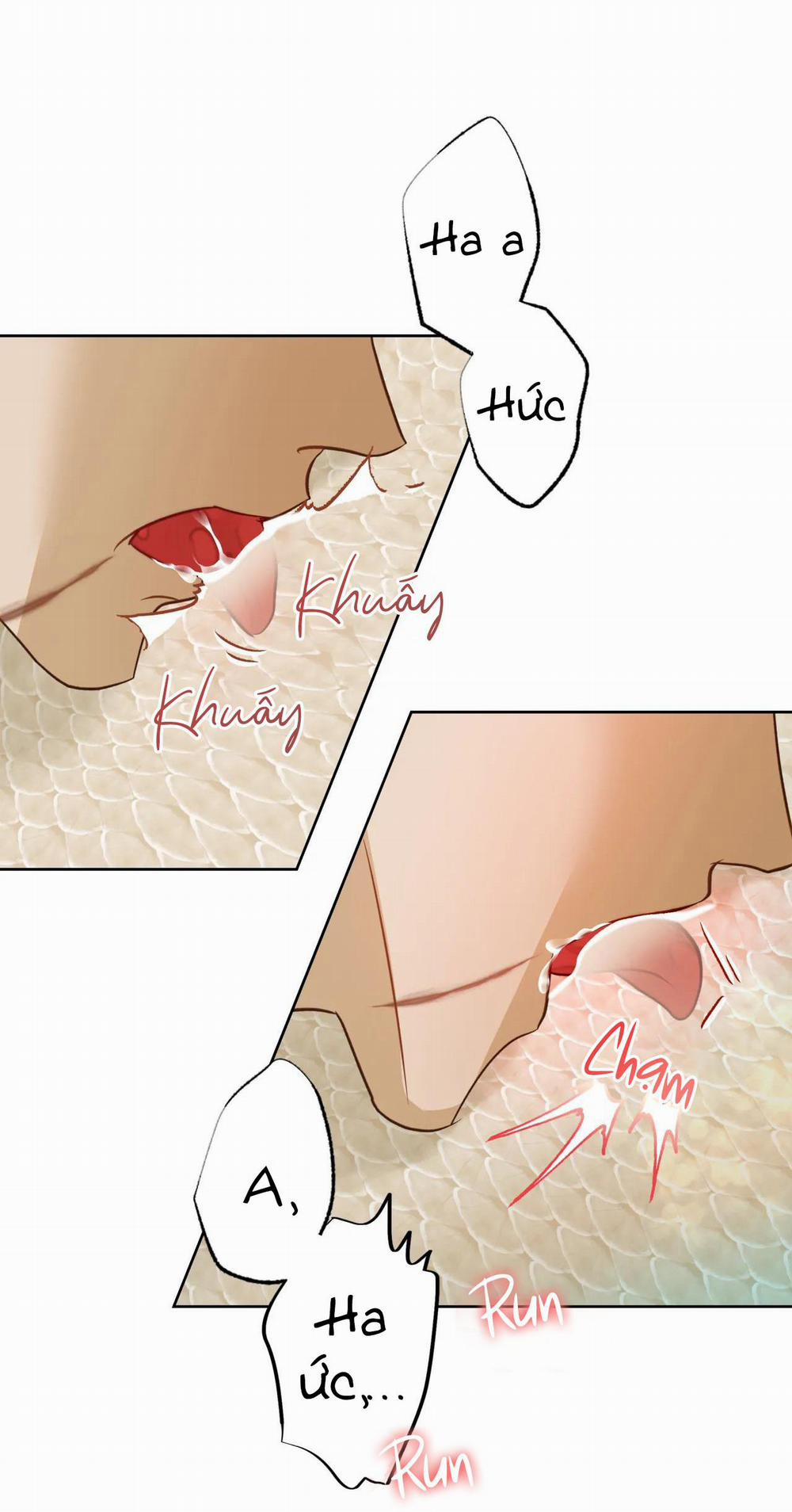 MỸ NHÂN NGƯ 6 trang 5