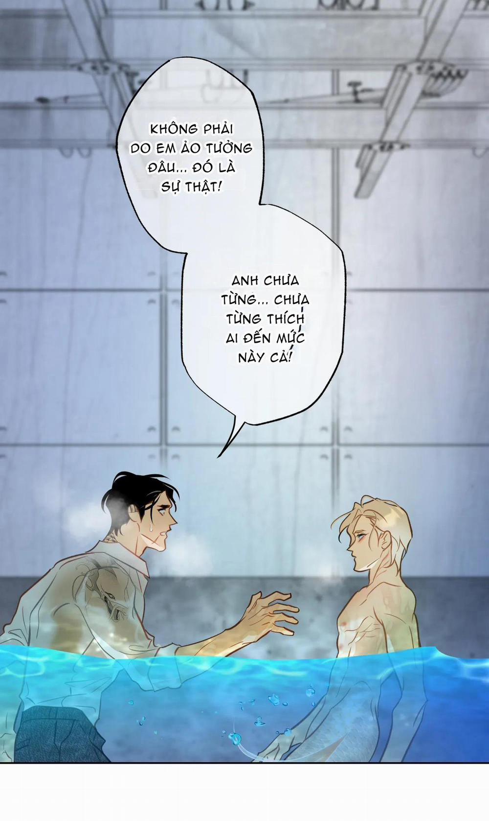 MỸ NHÂN NGƯ 7 trang 1