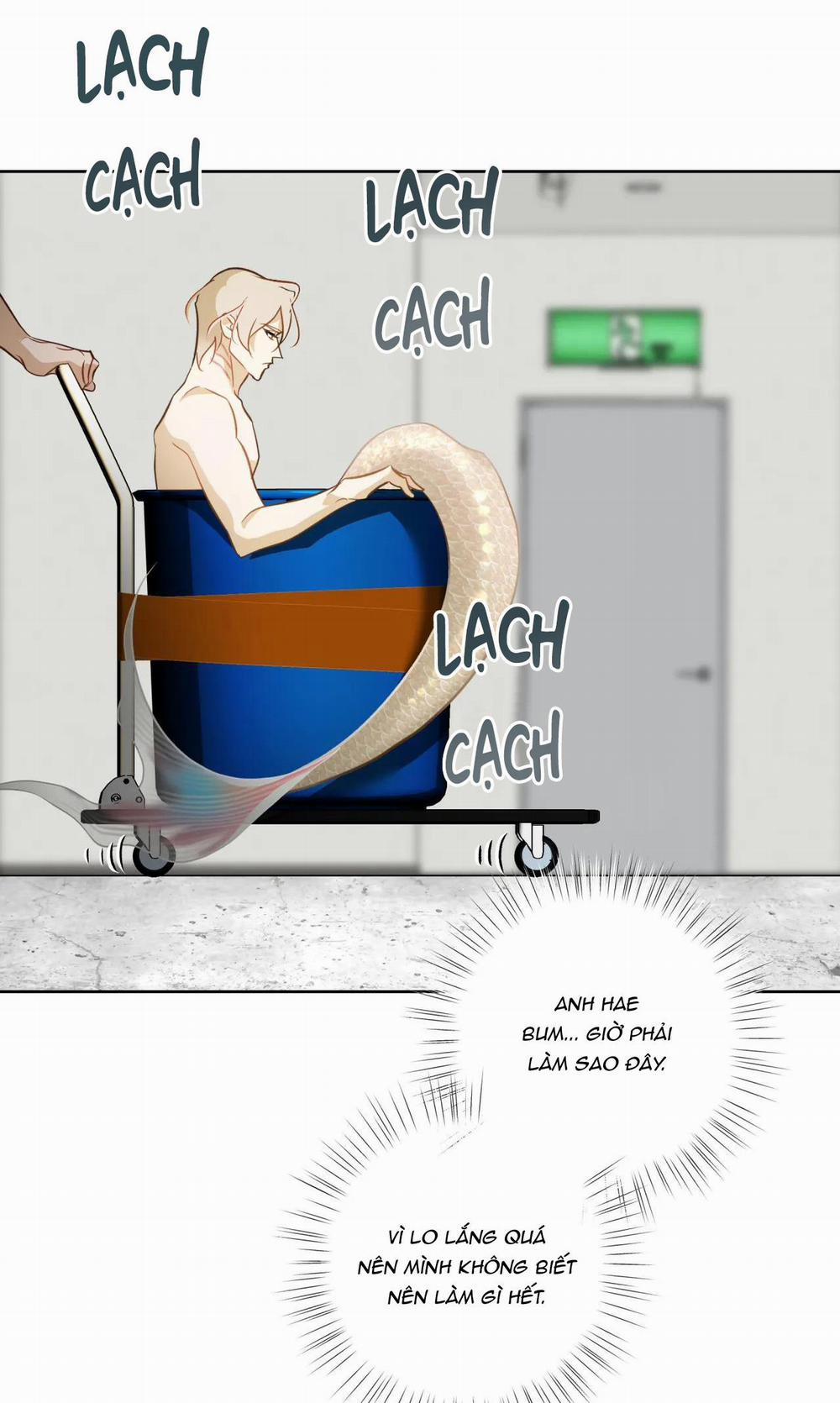 MỸ NHÂN NGƯ 7 trang 65