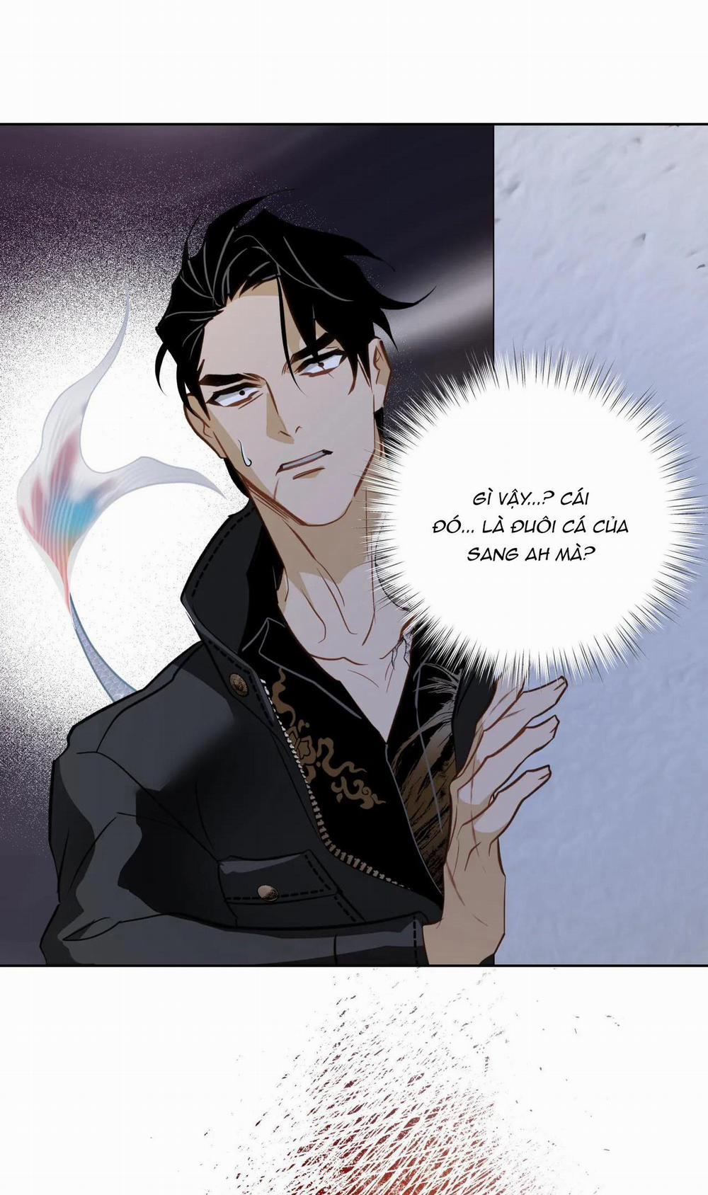 MỸ NHÂN NGƯ 8 trang 25