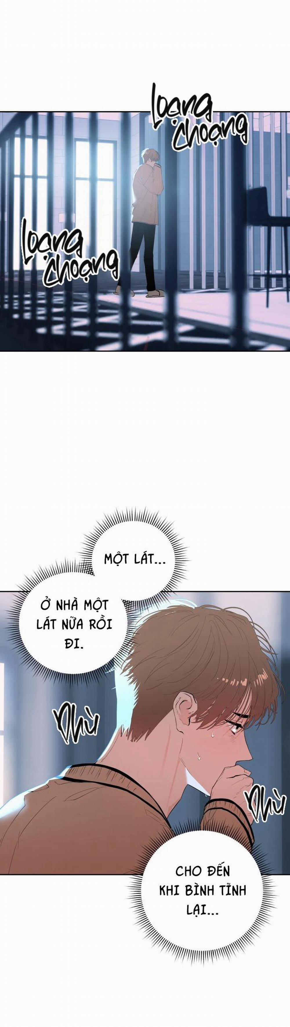 My X Daddy 12 trang 14