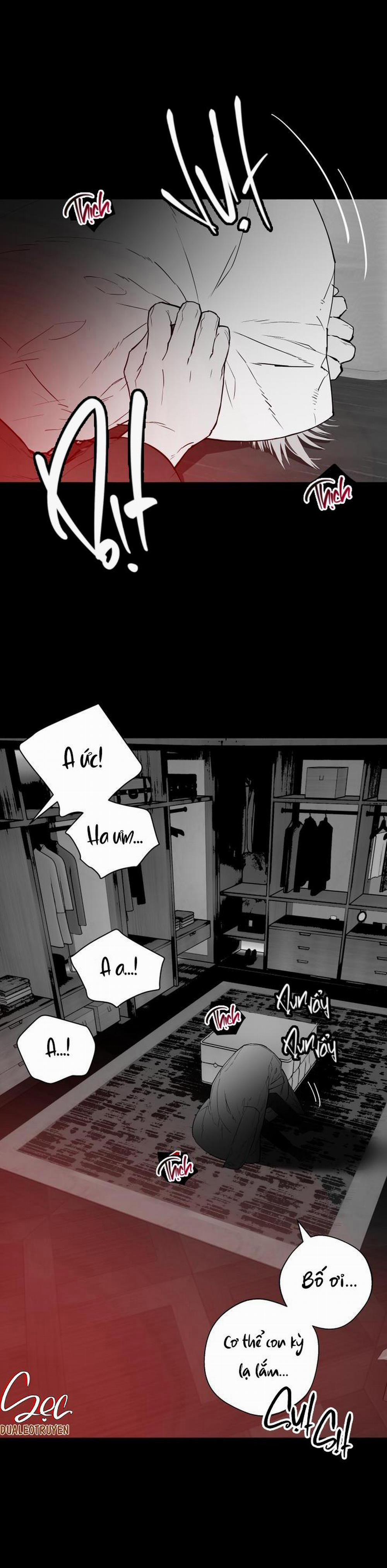 My X Daddy 17 trang 5