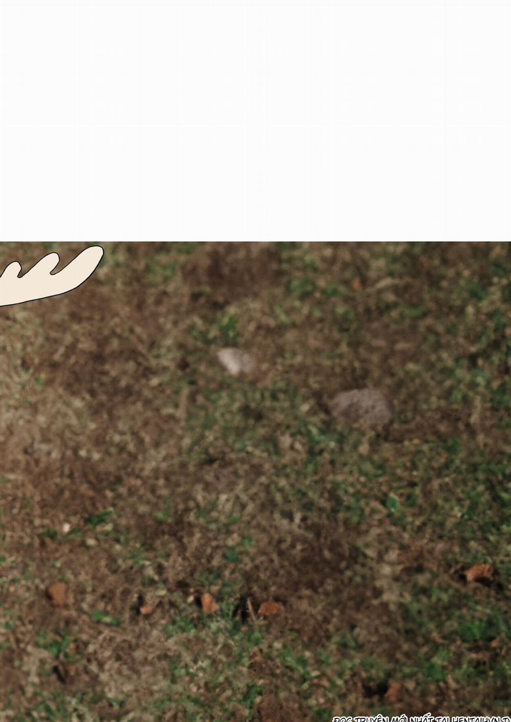 しかのこしこしこうでぱんぱん - nai chơi nấm Oneshot trang 19