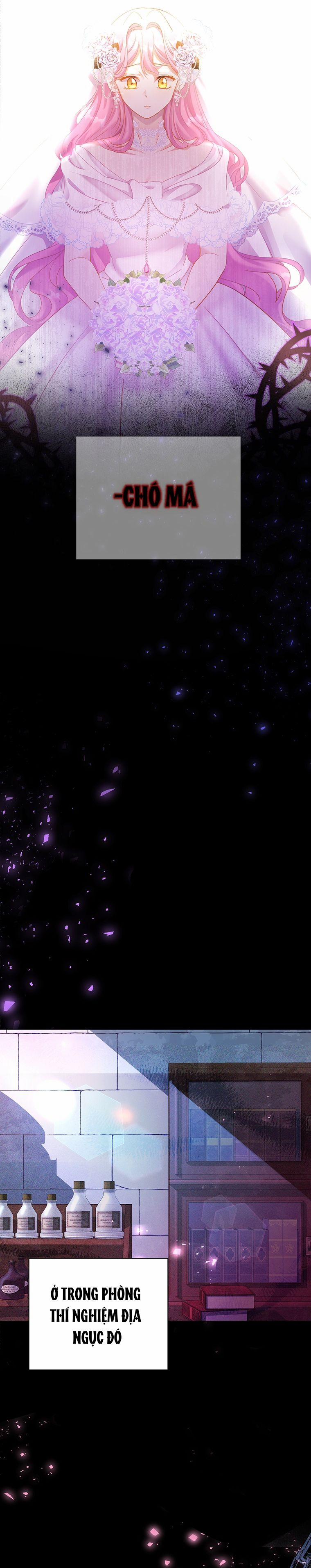 Nam Chính Ám Ảnh Phát Điên 1 trang 3