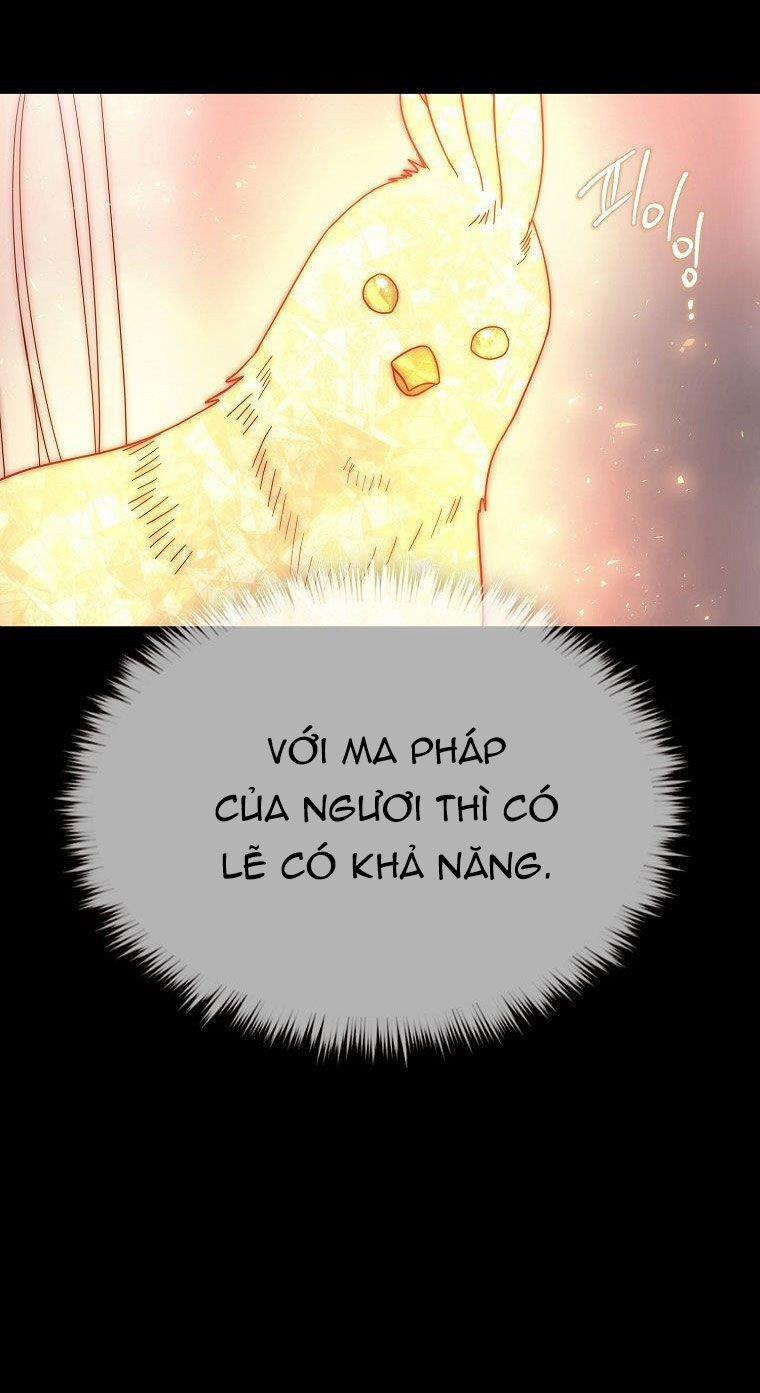 Năm Đại Đệ Tử Của Charlotte 209.2 trang 11