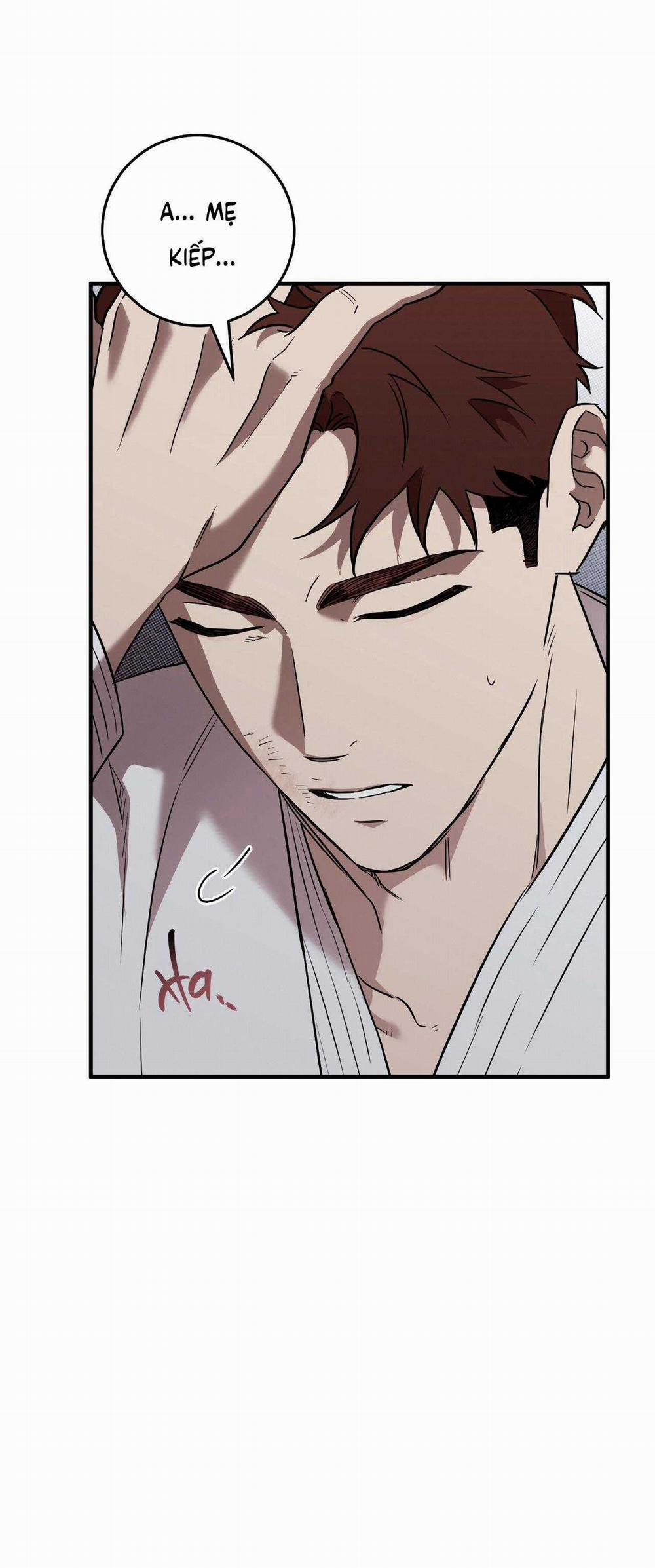 Năm Nay Sẽ Khác 12 trang 29