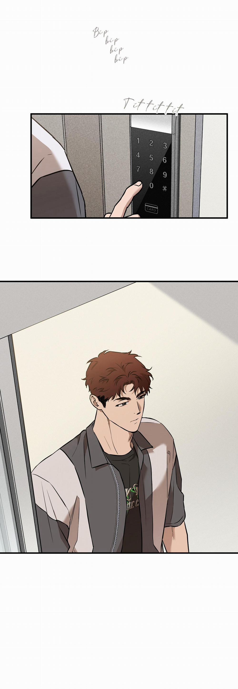 Năm Nay Sẽ Khác 16 trang 0