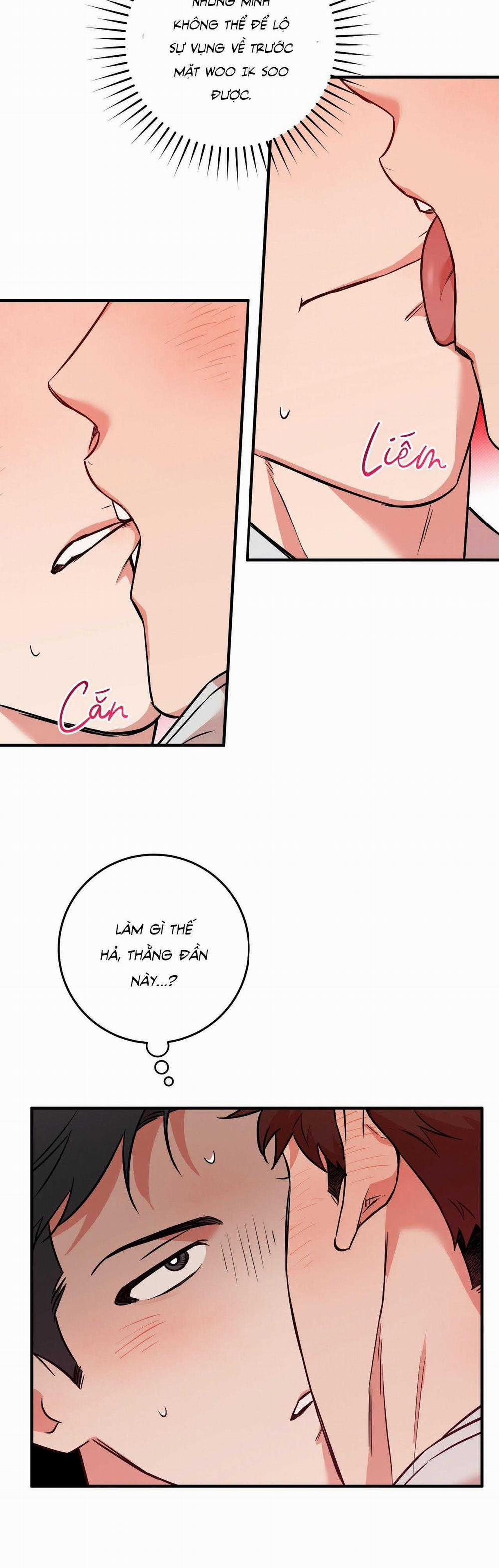 Năm Nay Sẽ Khác 19 trang 14