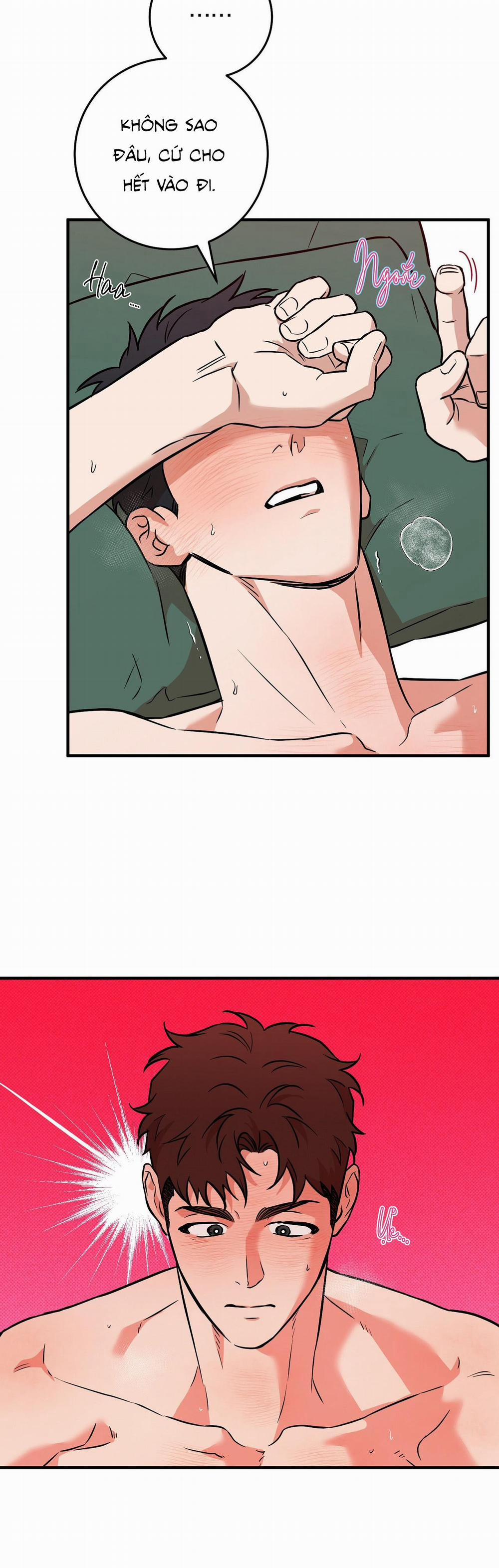 Năm Nay Sẽ Khác 20 0 trang 14