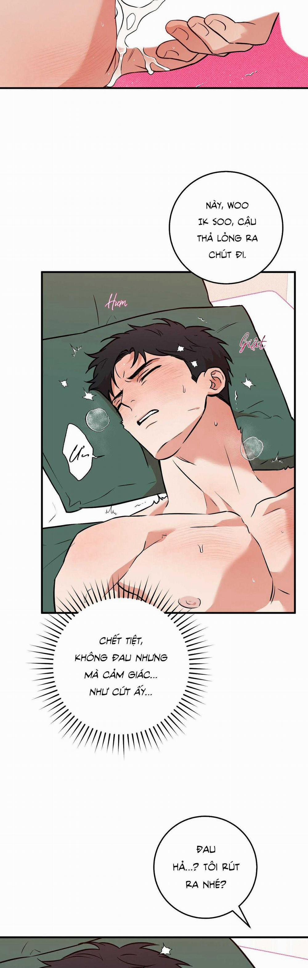 Năm Nay Sẽ Khác 20 trang 12