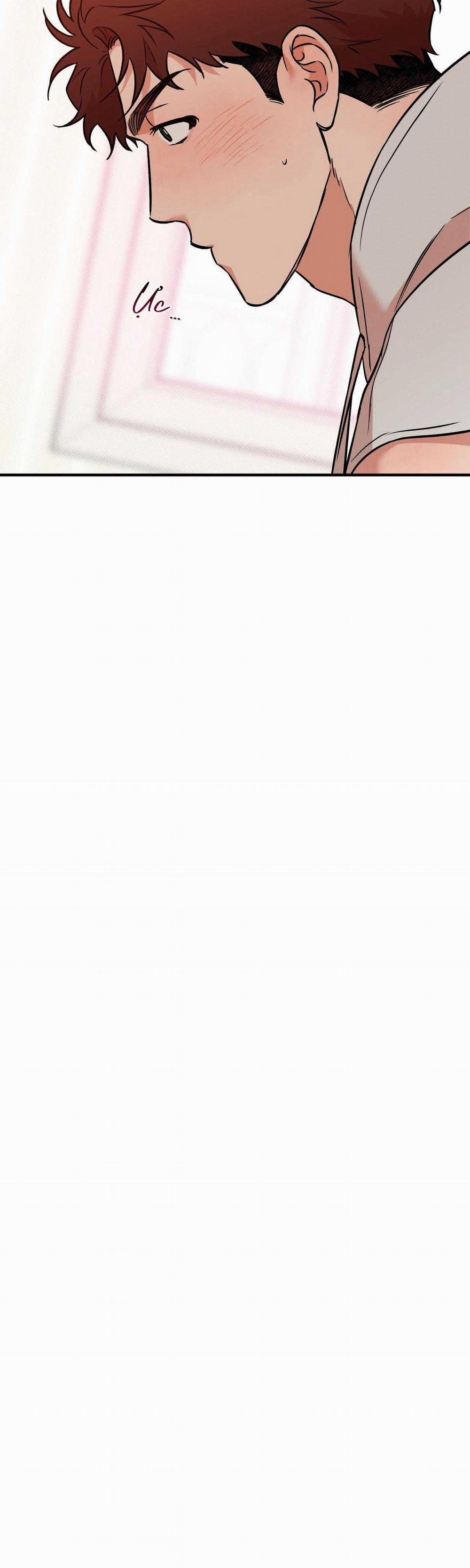 Năm Nay Sẽ Khác 20 trang 7